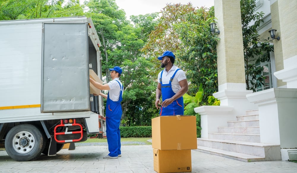 Services